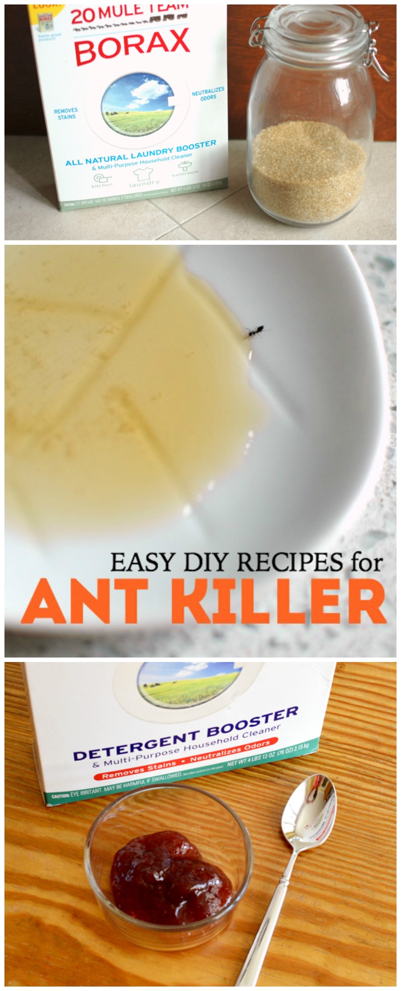 Easy DIY Recipes for Ant Killer