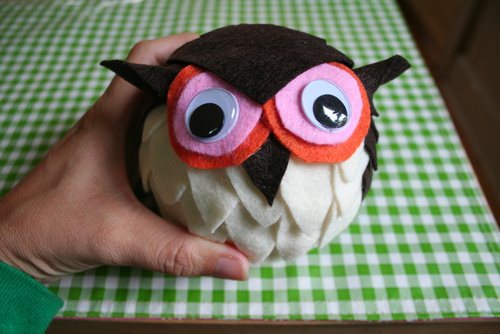 Googly Eyed Owl