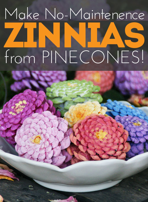Make Zinnias from pinecones! They stay gorgeous even if you have zero gardening skills!