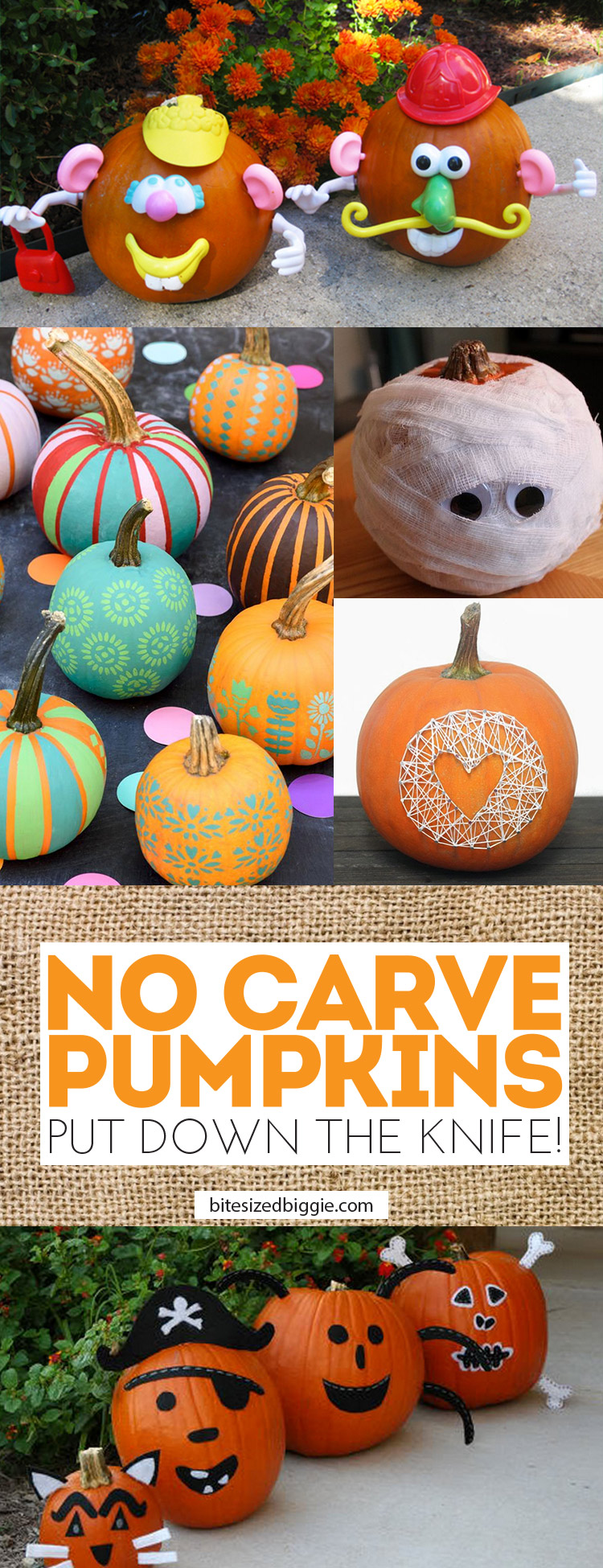 No carve pumpkins - PUT DOWN THAT KNIFE! Hahahaha!