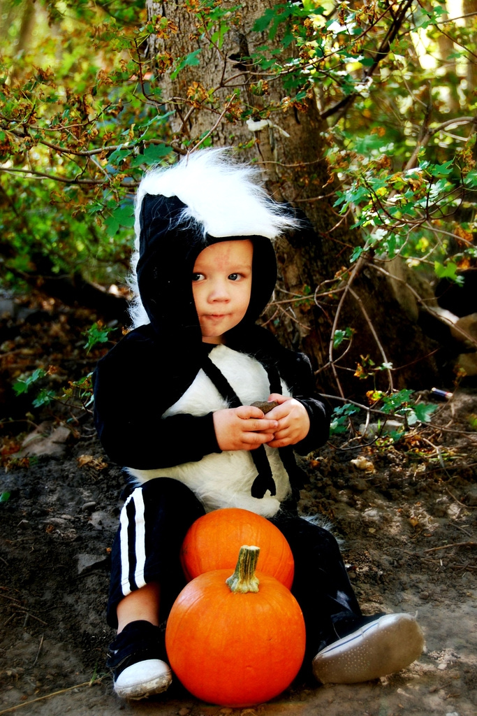 skunk costume