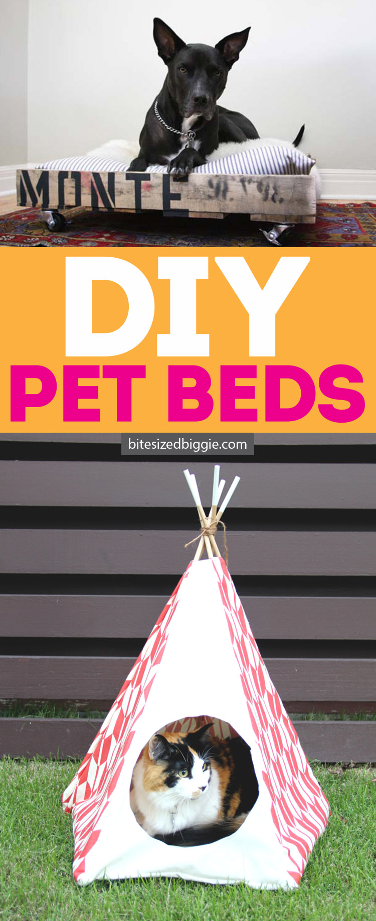 DIY cat and dog bed ideas - So many fun ones in this post!