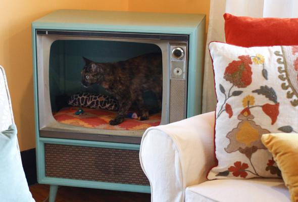 cat bed inside tv console