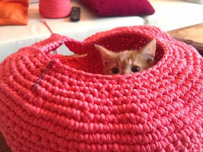 crocheted cat nest free tutorial