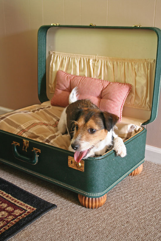suitcase-dog-bed jpg