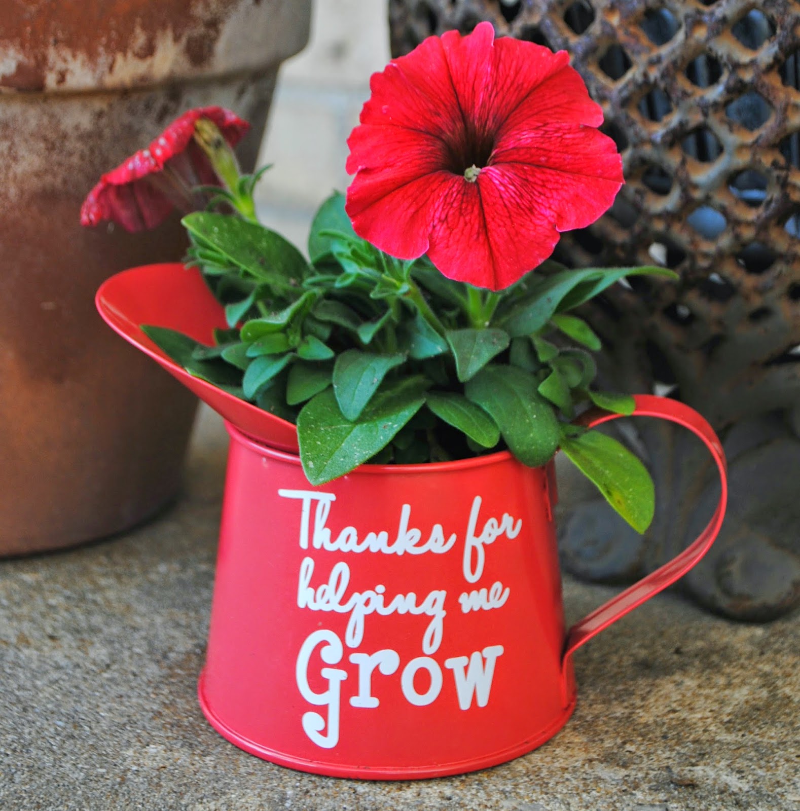 watering can as flower pot teacher thanks