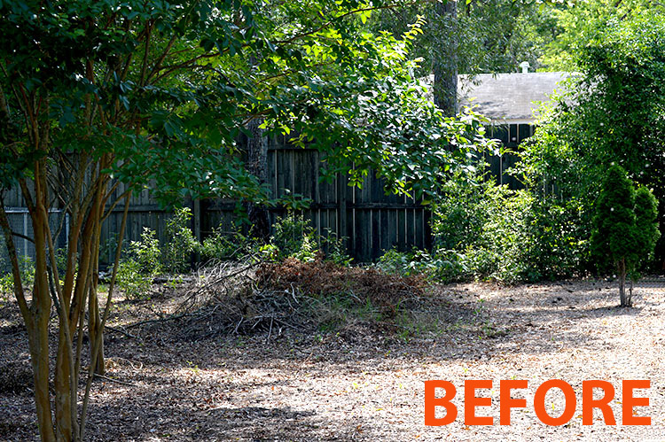 before Connections fencing