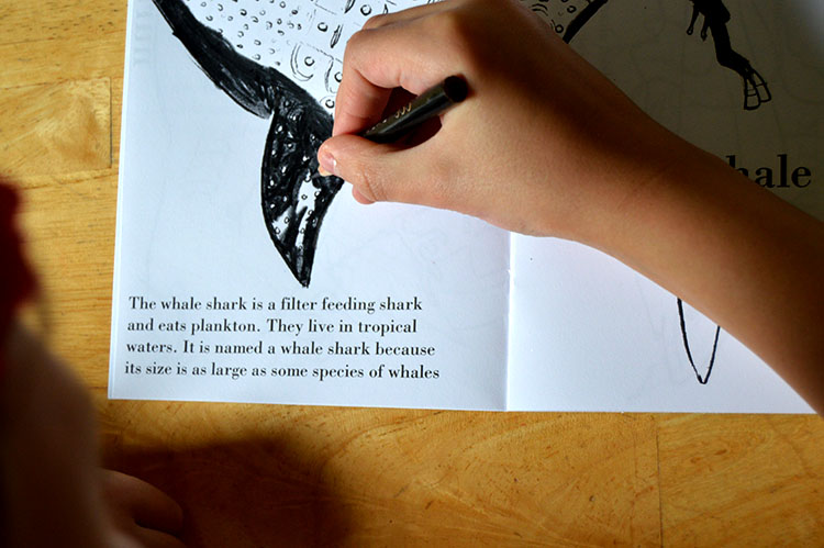 shark coloring book