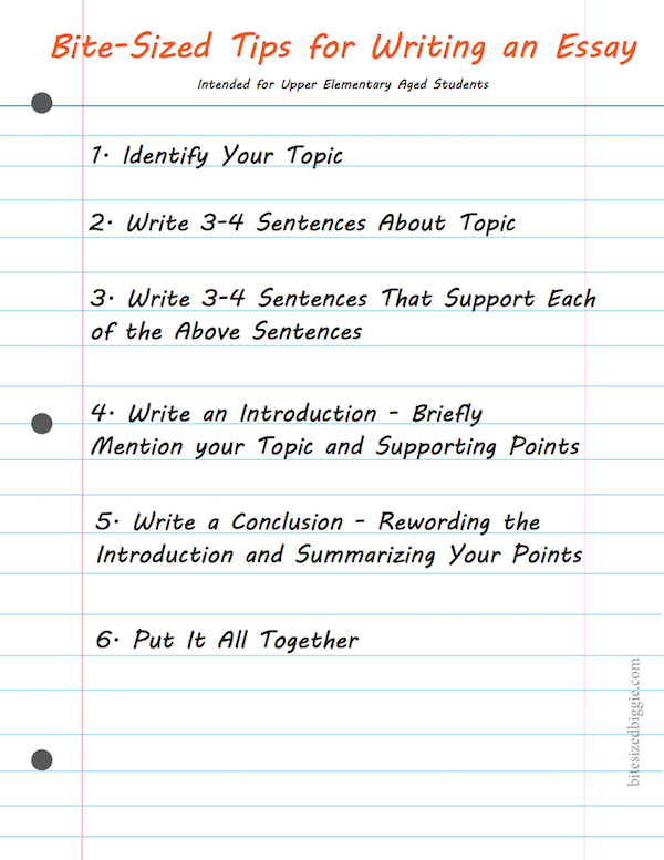 bite-sized-tips-for-writing-an-essay