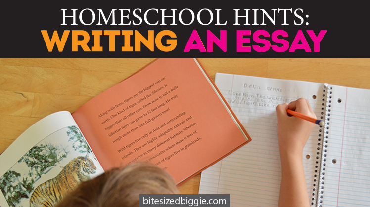 homeschool-hints-how-to-write-an-essay-in-simple-steps