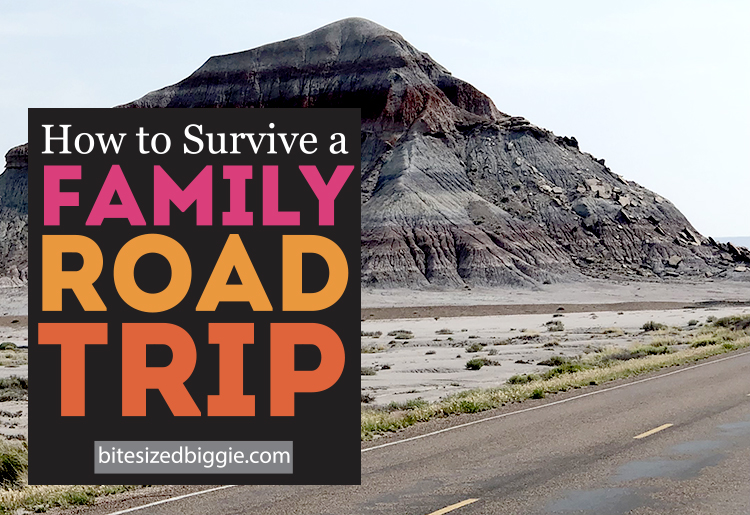 Featured image for road trip survival tips on bitesizedbiggie.com