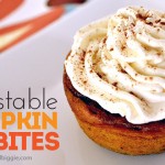 Pumpkin Pie Bites!